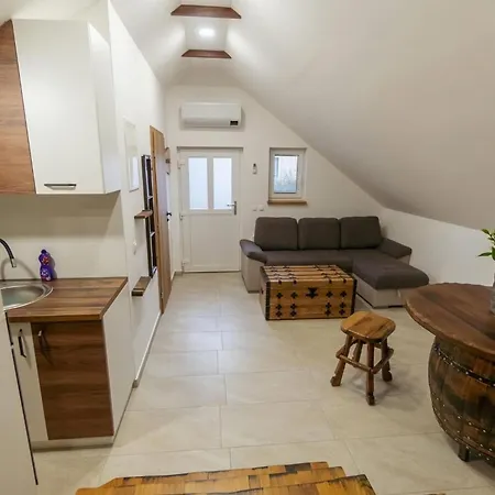 Apartma Viktor